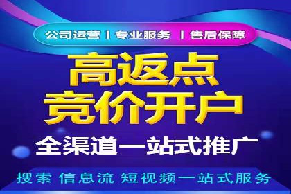 成功SEM服务案例分析报告